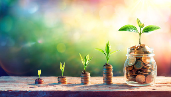 6 STEPS TO THRIVE: Financial Online Course